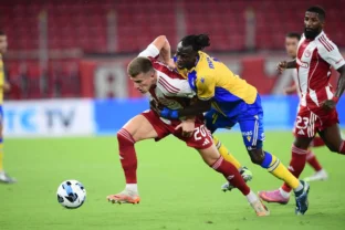 Trixie με κάρτες παικτών που είναι στο όριο τιμωρίας