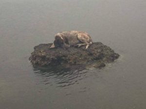 Σε αυτή την κόλαση του κόσμου, οι αθώοι στέκουν μοναχοί