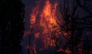 Ο πλανήτης θα βρει τρόπο, εμείς όχι