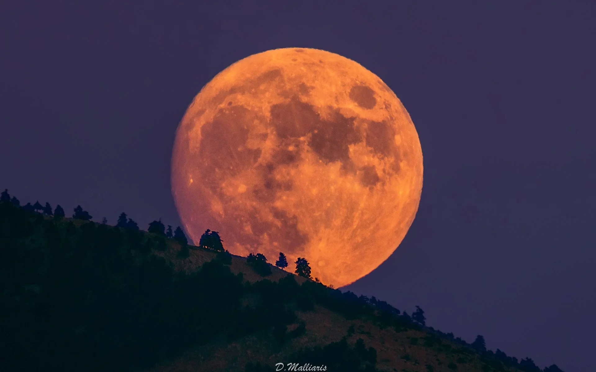 Φιέστα με πανσέληνο