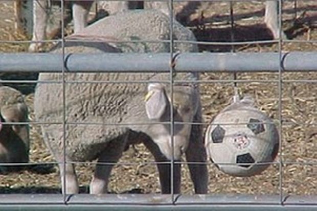 Το στοίχημα της ημέρας: Διπλά πριν την Ανάσταση