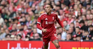 Επόμενη Ομάδα Τσιμίκα – Αποδόσεις